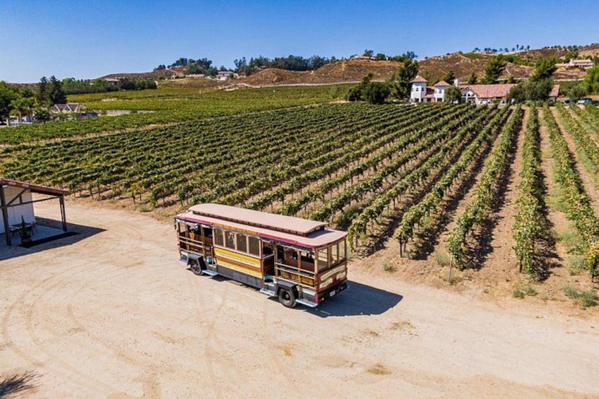 All-Inclusive Social Wine Tour 4