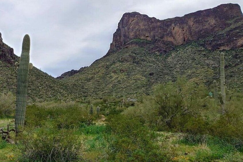 Picacho Peak 3
