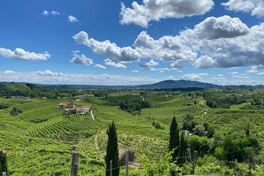 Tour in the Prosecco Hills Tour from Padua 3