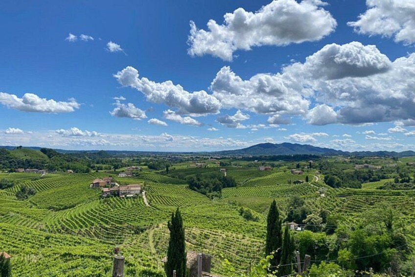 Tour in the Prosecco Hills Tour from Padua 2
