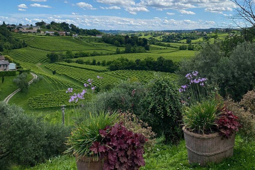 Tour in the Prosecco Hills Tour from Padua 1