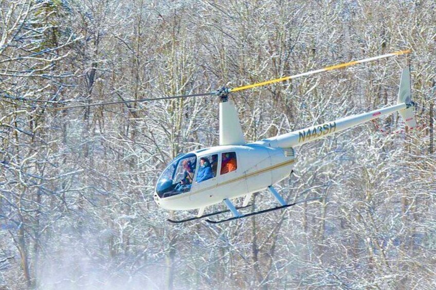Lookout Mountain Grand Aerial Experience 3