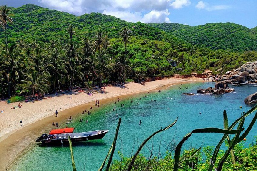 Une plage tropicale avec une eau turquoise cristalline, des palmiers et un bateau. 2