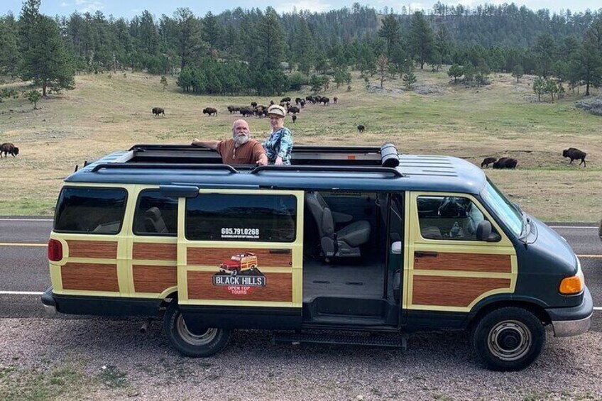 A van with a wooden panel design parked on a road with a herd of bison in the background. 2
