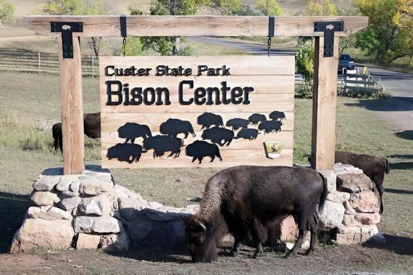2026 - Sept 25th - Custer Buffalo Roundup and Corrals 5