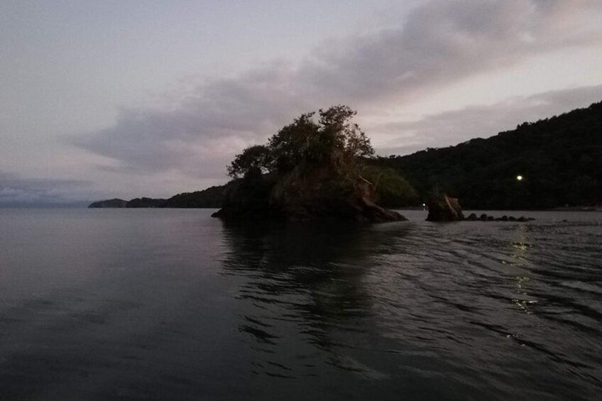 Sunset Bioluminescence Tour by Boat 4