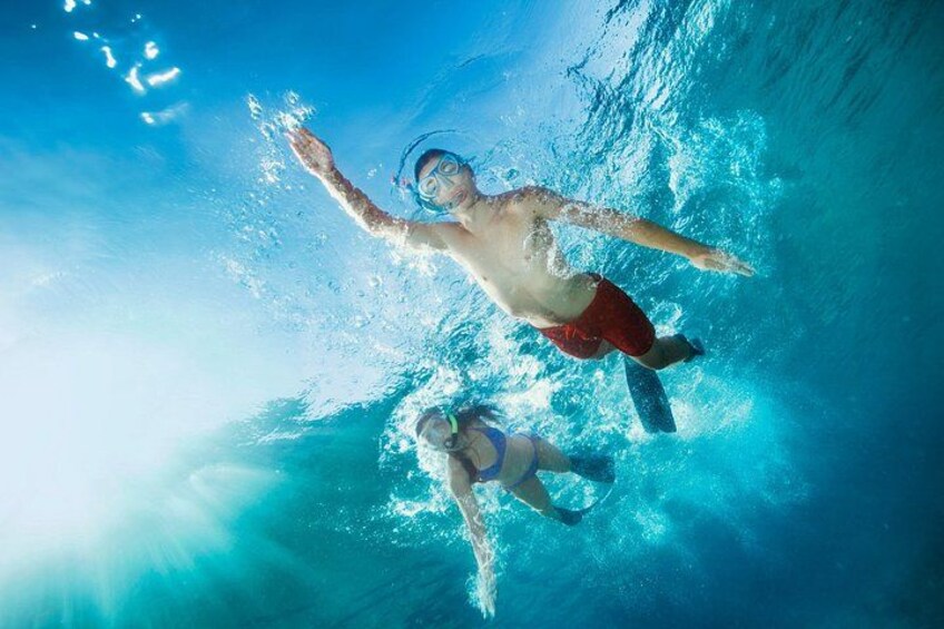 Oahu 5-in-1 Deluxe Cruise: Turtle Snorkeling & Ocean Activities 5