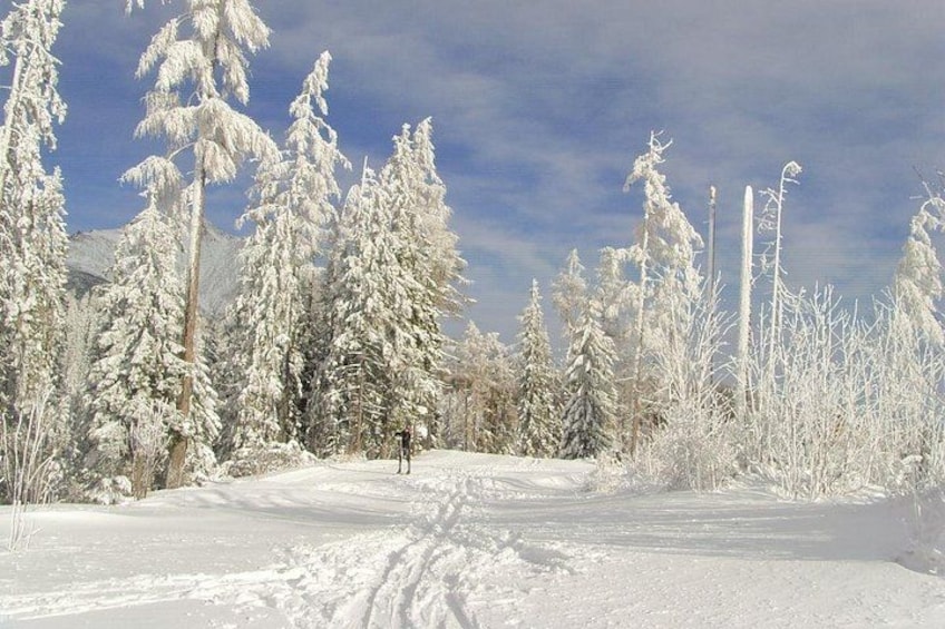 Slovakia Ancestry Private Tour for 2 people minimum 5