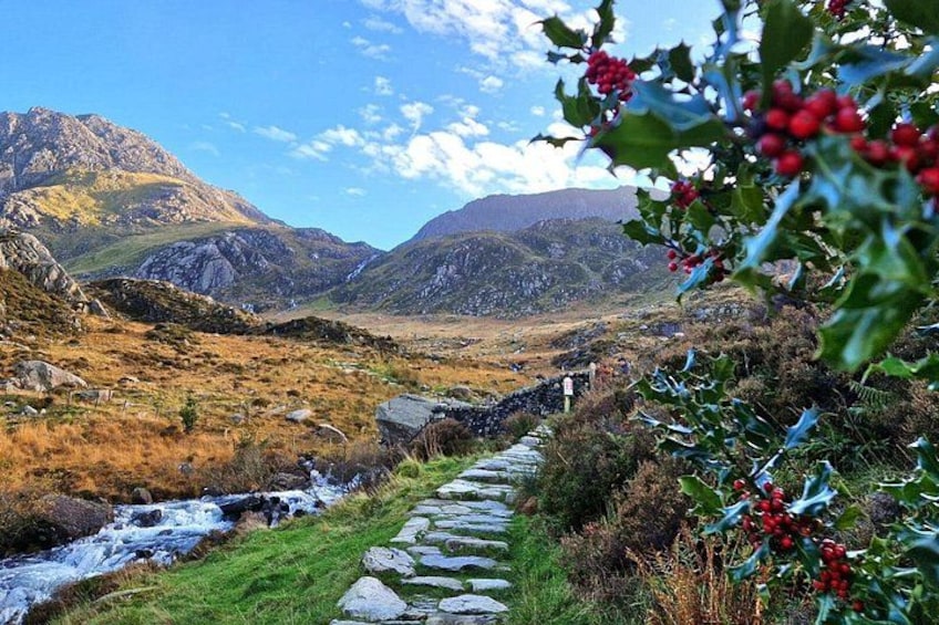 North Wales & Caernarfon Castle Full-Day Tour from Manchester 2