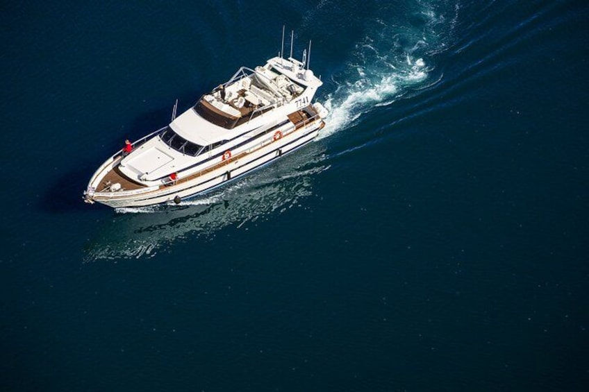Whale Watching Cruise on a Yacht in Reykjavik 2