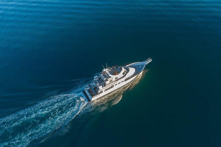 Whale Watching Cruise on a Yacht in Reykjavik 2