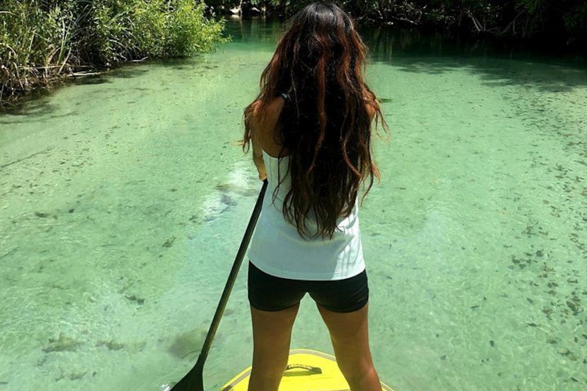 Una persona che fa paddleboarding su una distesa d'acqua limpida, circondata da vegetazione. 1