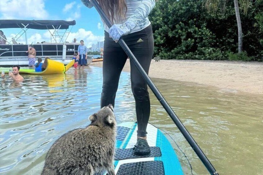 Nature Stand Up Paddle Boarding Experience in Miami 4