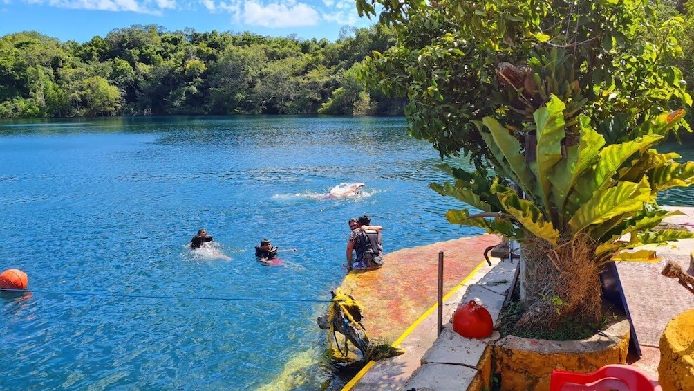 A clear blue lake with swimmers and a tree in the foreground. 2