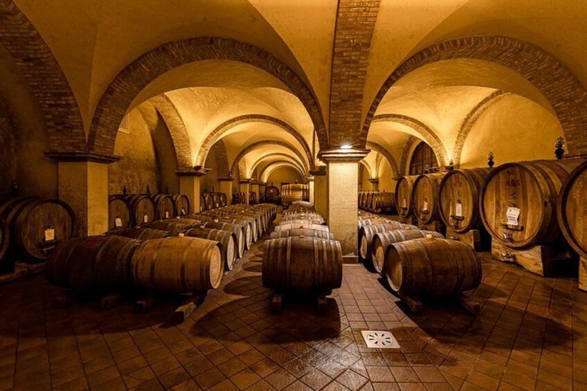 Visit to the barrel cellar 2
