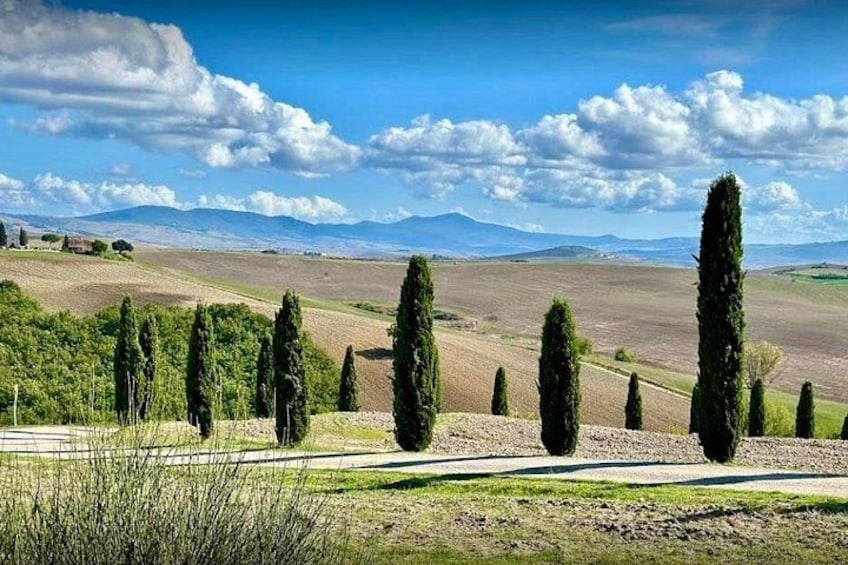 Val d'Orcia Brunello Wine Tour with Montalcino and Montepulciano 2