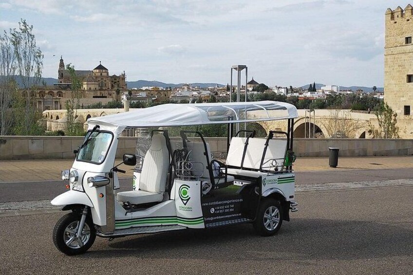 Een witte en groene elektrische golfkar geparkeerd op een verhard gebied, met een historisch gebouw en een stenen toren op de achtergrond. 3