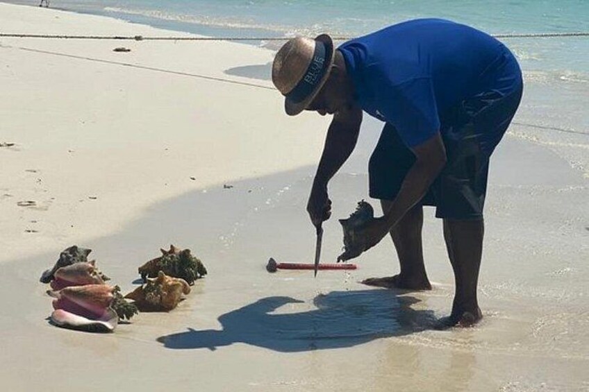Une personne se trouve sur une plage, tenant un marteau et un seau, et ramasse peut-être des coquillages ou des algues. 1