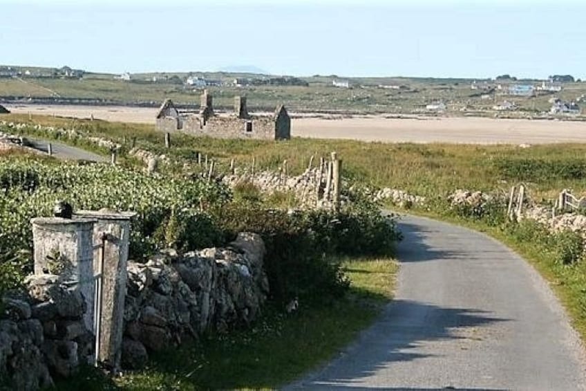 Private Guided Walking Tour of Omey Island in Connemara 3