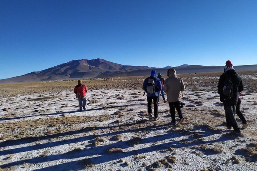 Salar de Uyuni with lodging - 3 full days - With lagoons 2