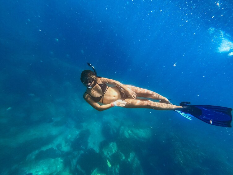Half day Luxury catamaran Snorkel Adventure with lunch and open bar 5