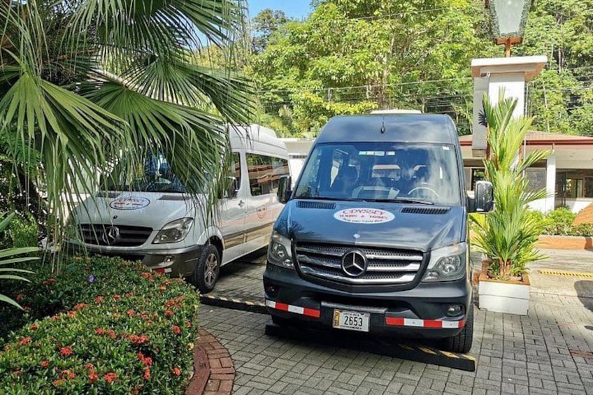 Una furgoneta Mercedes-Benz estacionada en un área ajardinada con una palmera y flores. 5