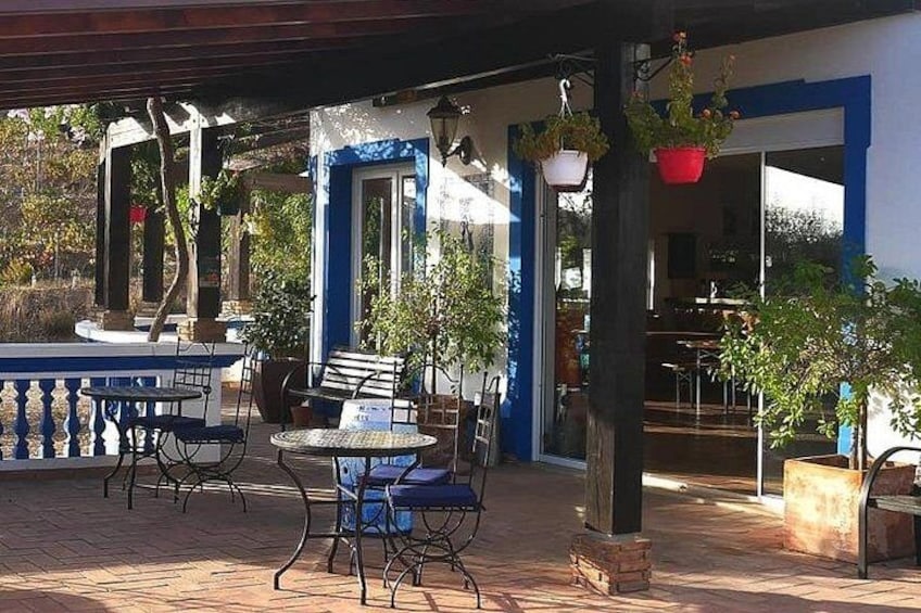 An outdoor café with tables and chairs, potted plants, and a blue and white building. 2