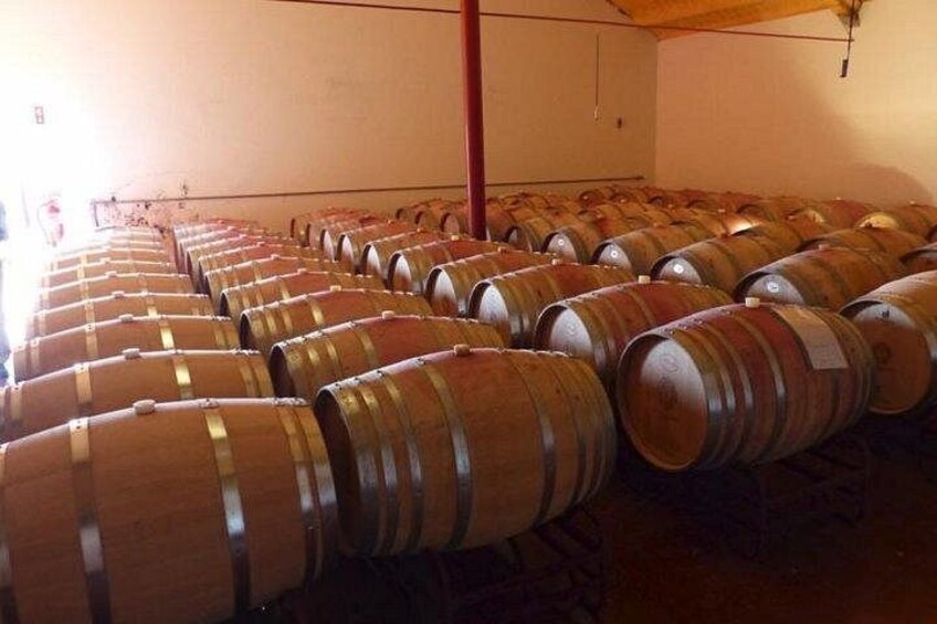 Rows of wooden wine barrels in a warehouse. 4