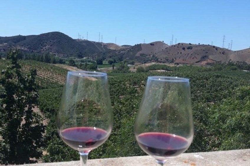 Two wine glasses with red liquid on a ledge, overlooking a vineyard with hills and power lines in the background. 3