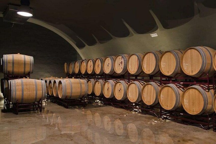 Algarve Wine Tour of Two Wine Estates 2