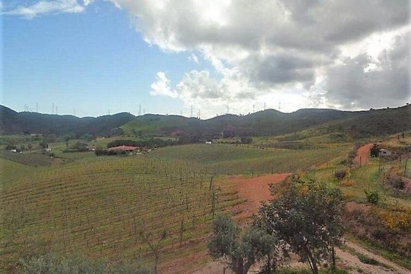 Algarve Wine Tour of Two Wine Estates 3