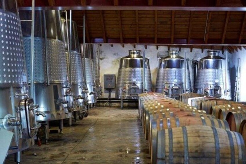 Algarve Wine Tour of Two Wine Estates 2