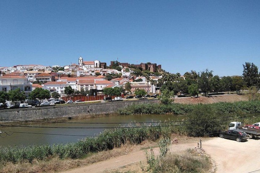 A town with a river, a bridge, and a hill with a castle-like structure. 1