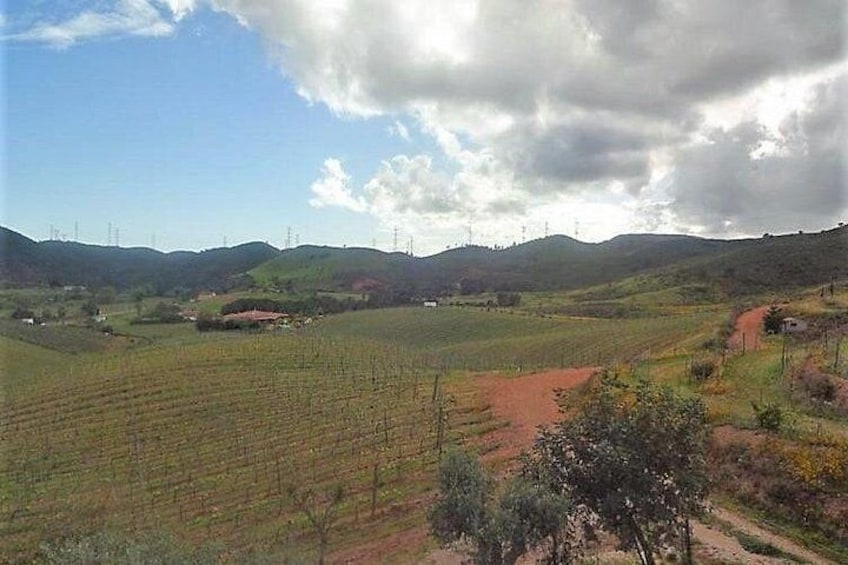 Algarve wine tour and lunch in Silves or time to visit the city 4