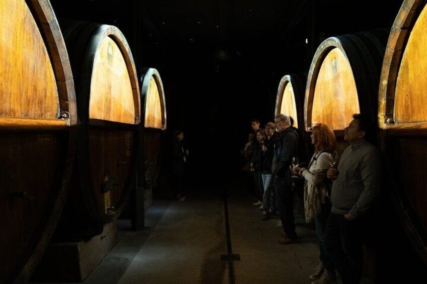 Immersive cellar tour-tasting-Christmas meal 100% immersive 2