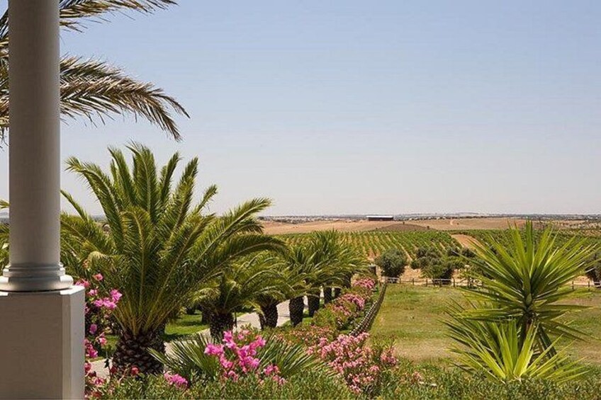 Alentejo Wine Tour from the Algarve 4