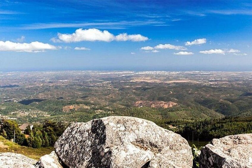 Premium gastronomic mountain tour: Wine, olive oil, spirits, food 2