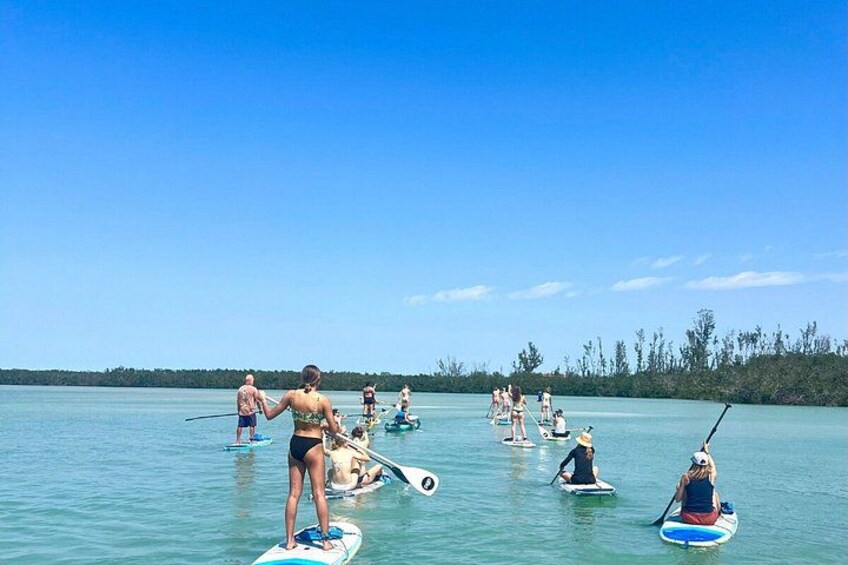 Mangroves, Midnight Pass & Hidden Beach Kayak Tour | Siesta Key 1