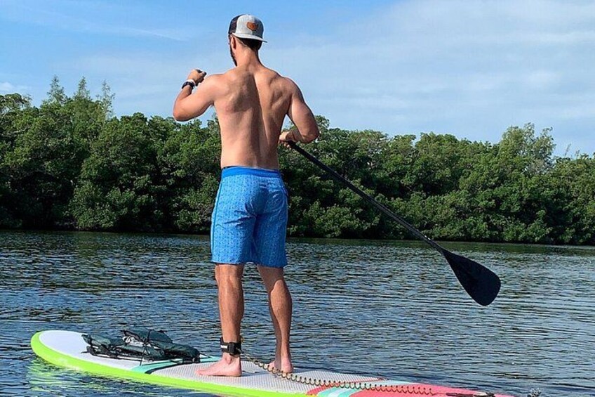 Mangroves, Midnight Pass & Hidden Beach Kayak Tour | Siesta Key 4