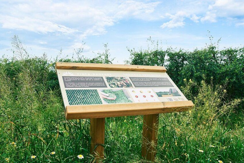 Un panel informativo de madera en un campo cubierto de hierba, con texto e imágenes. 2