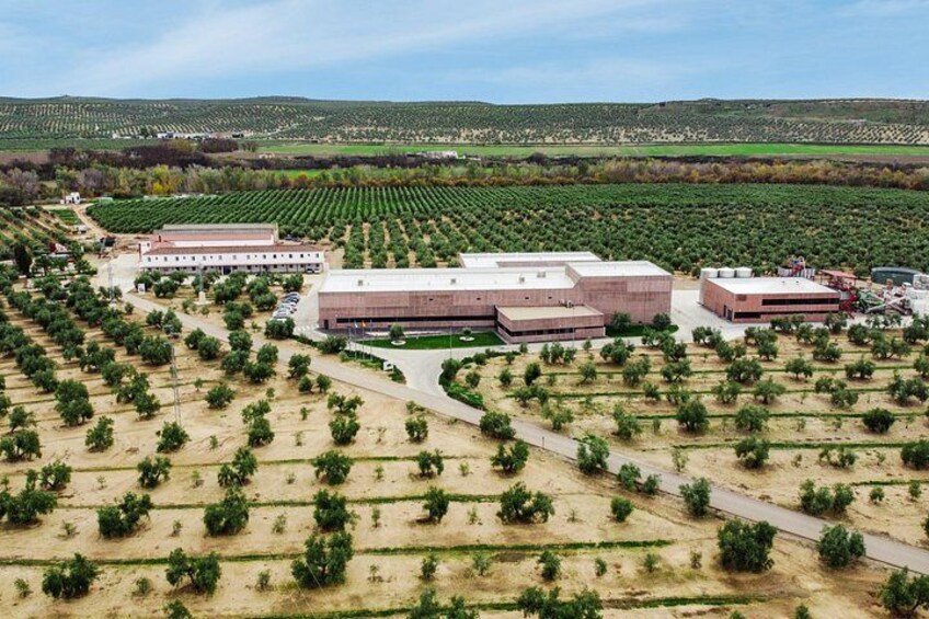Una instalación agrícola con varios edificios y hileras de cultivos. 5