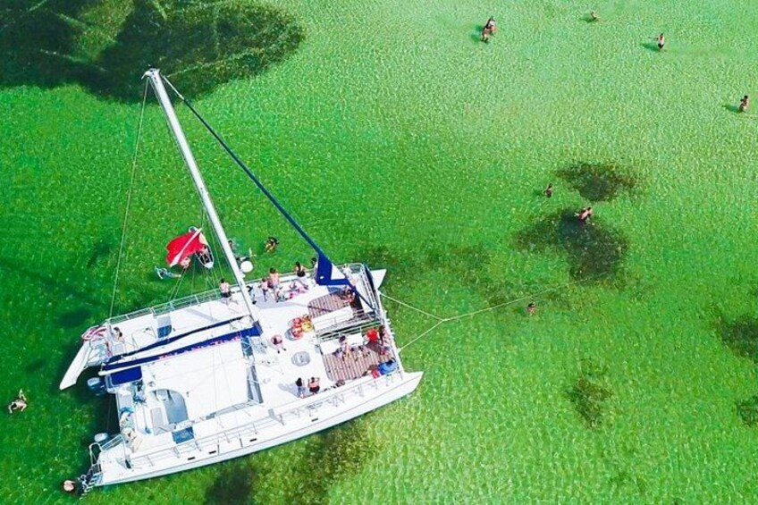 Shell Island Snorkel and Dolphin Catamaran Cruise with Island Time 3