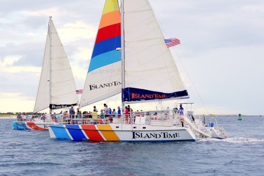 Shell Island Snorkel and Dolphin Catamaran Cruise with Island Time 3