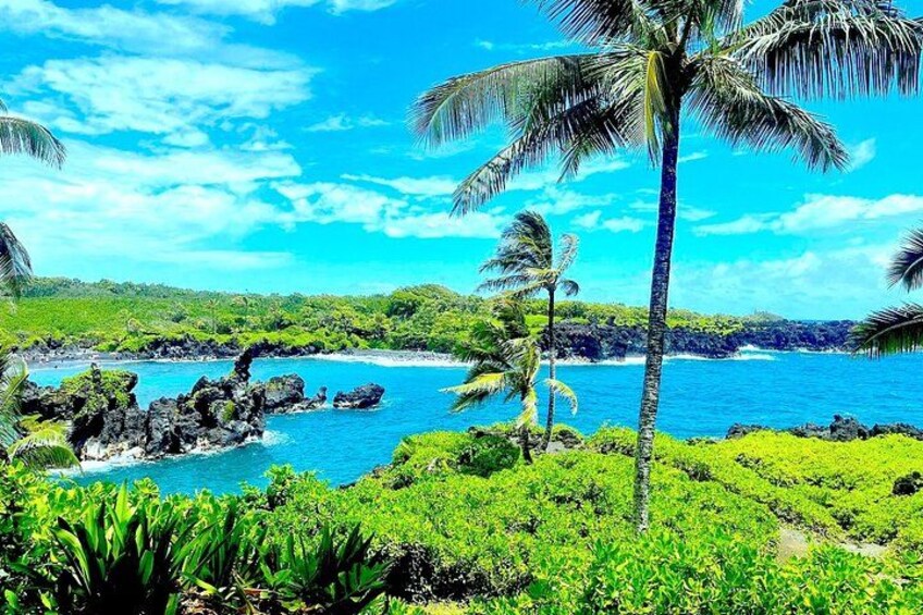 Una spiaggia tropicale con palme, affioramenti rocciosi e acque cristalline. 3
