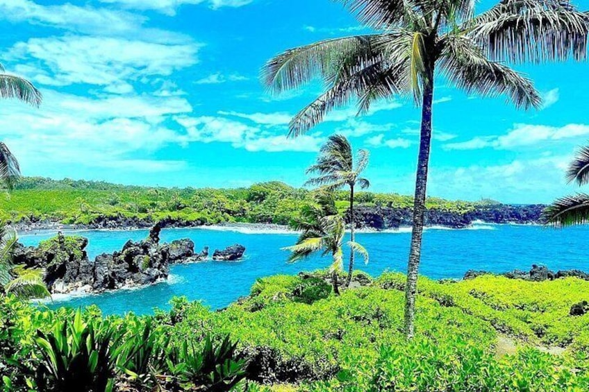 Rainforest Tour to Hana and Beyond 4
