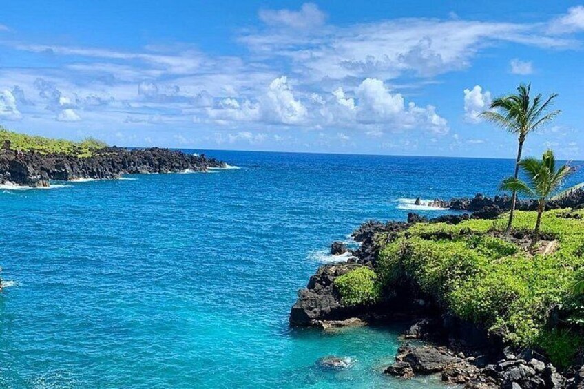 Rainforest Tour to Hana and Beyond 1