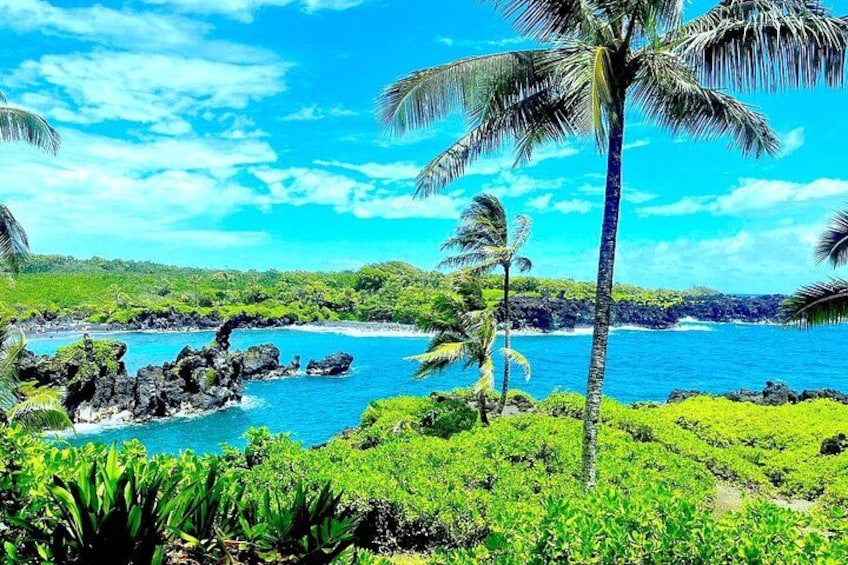 Rainforest Tour to Hana and Beyond 2