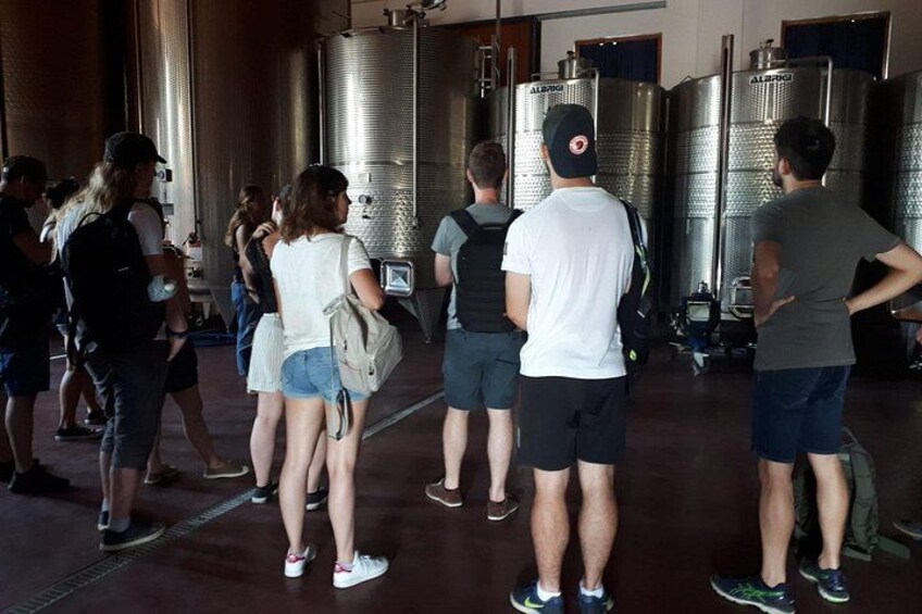 Amarone Wine Tour 3