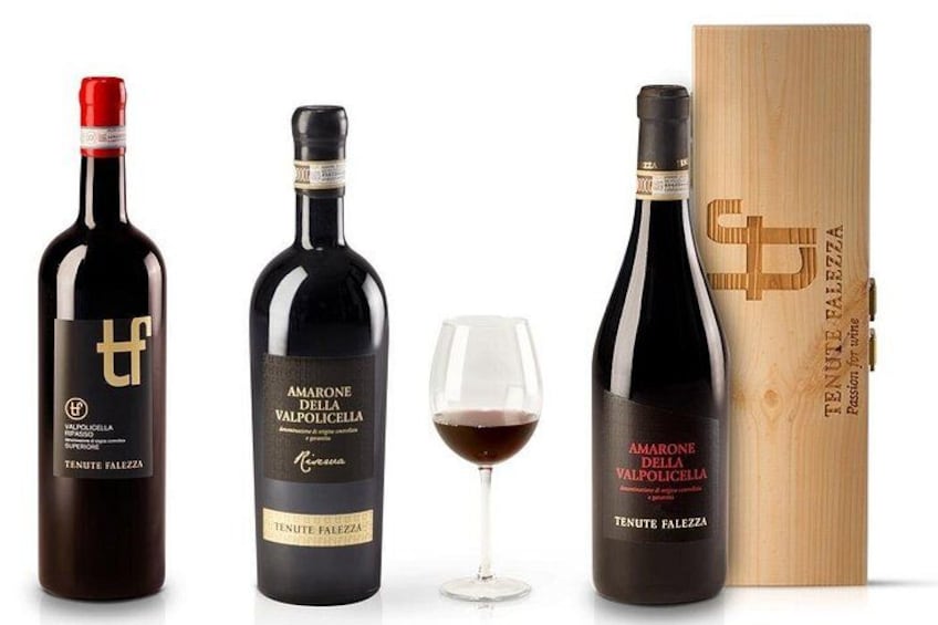 Amarone Wine Tour 2