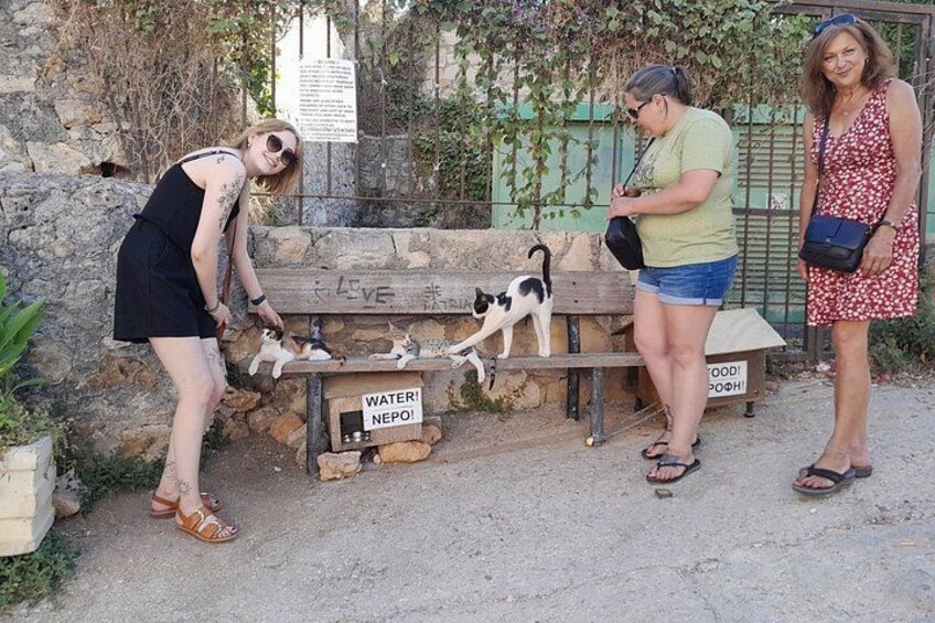 Three people interacting with cats near a stone wall and a wooden bench. 4
